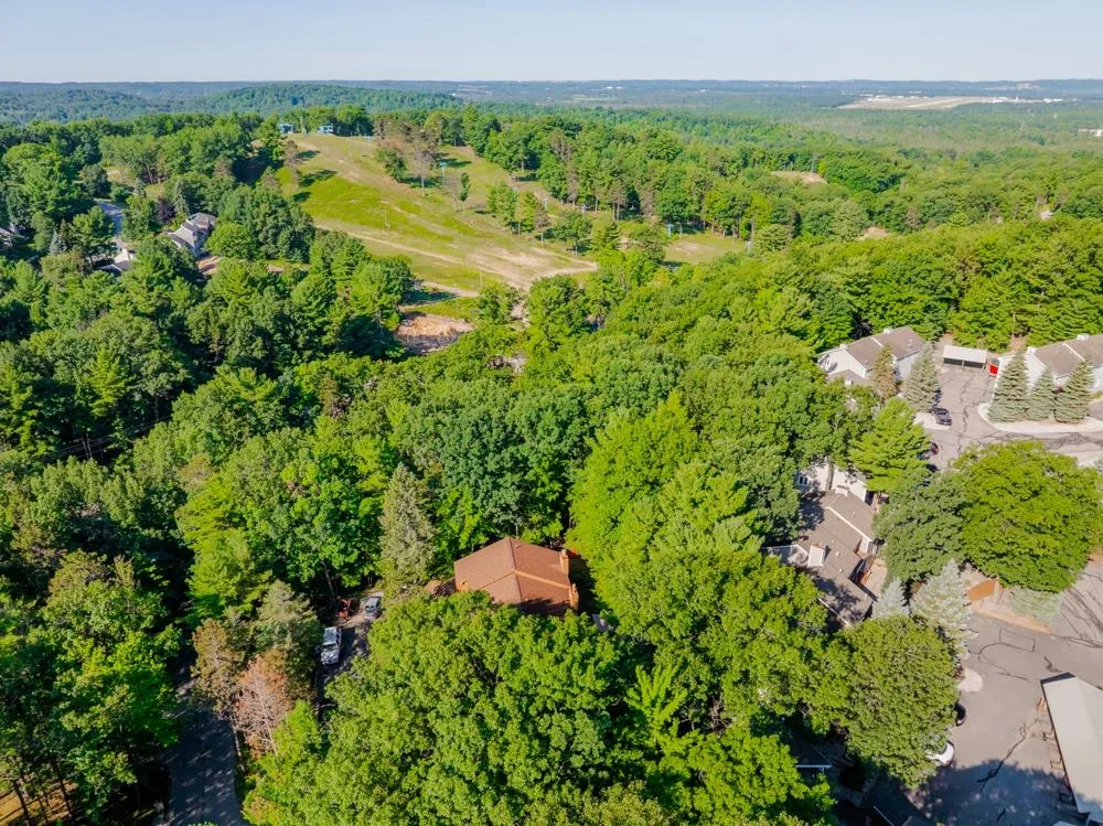 3845 Sherwood Forest Drive East Bay Township, MI 49686