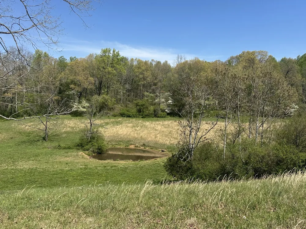 515 Jericho Rd Quebeck, TN 38579