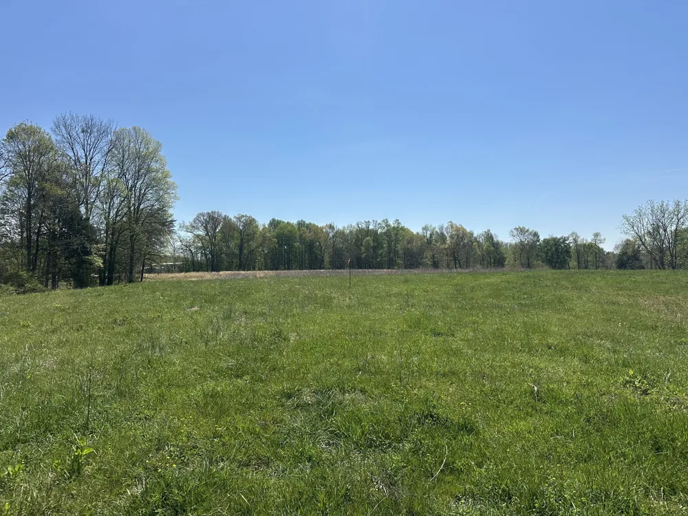 515 Jericho Rd Quebeck, TN 38579