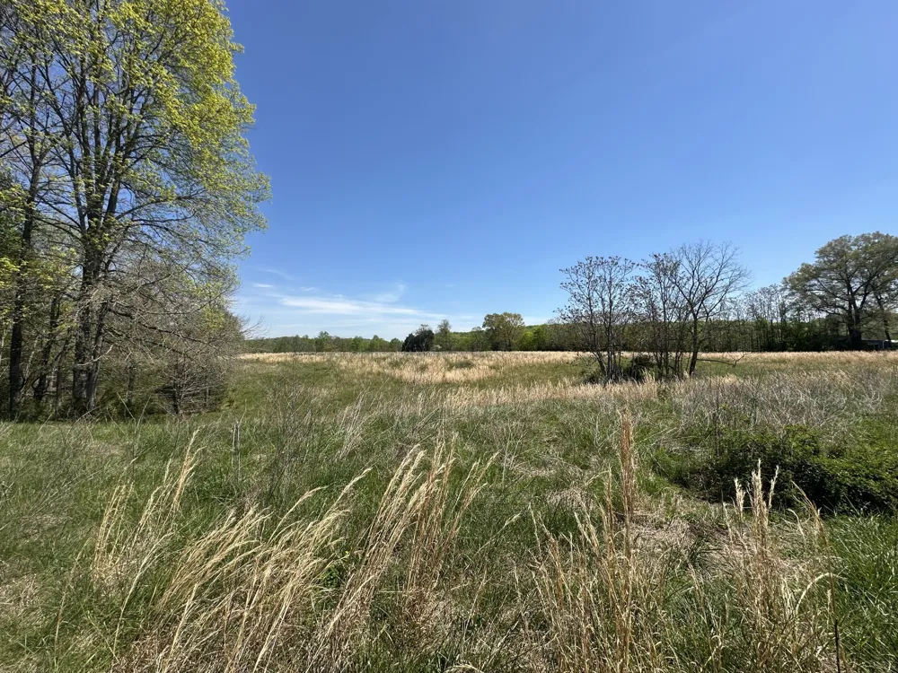 515 Jericho Rd Quebeck, TN 38579
