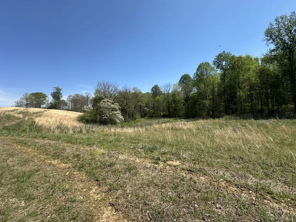 515 Jericho Rd Quebeck, TN 38579