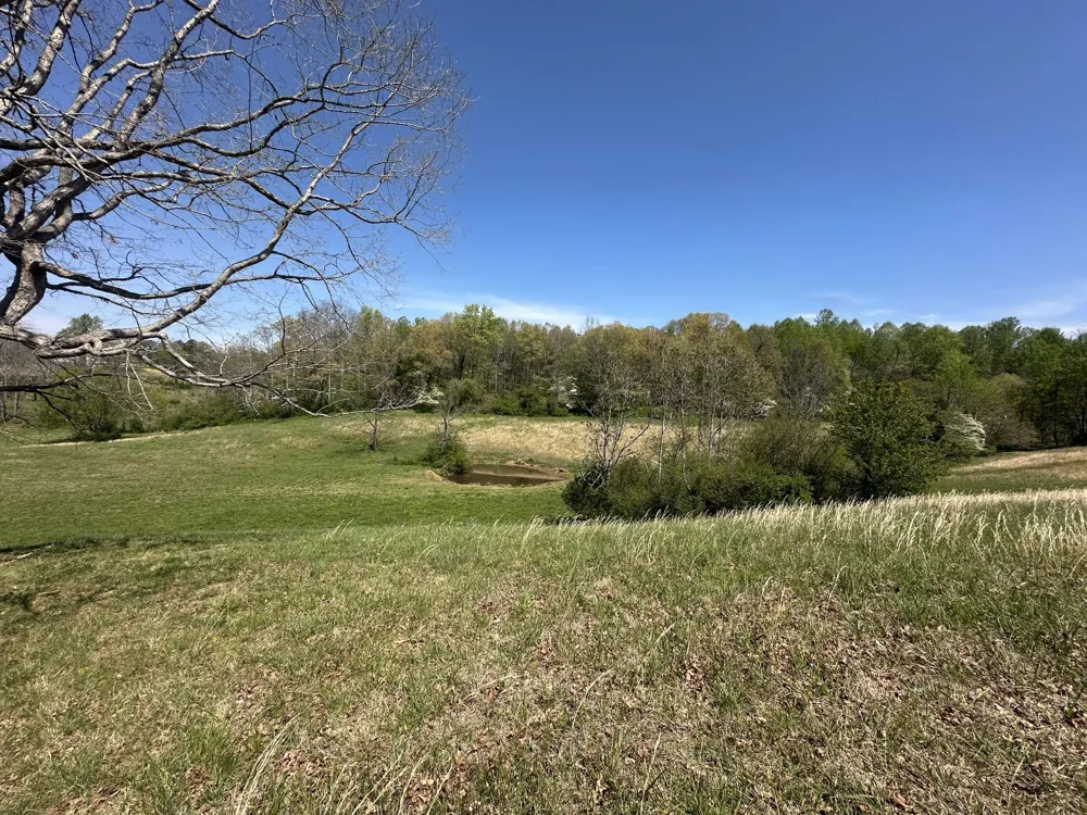 515 Jericho Rd Quebeck, TN 38579