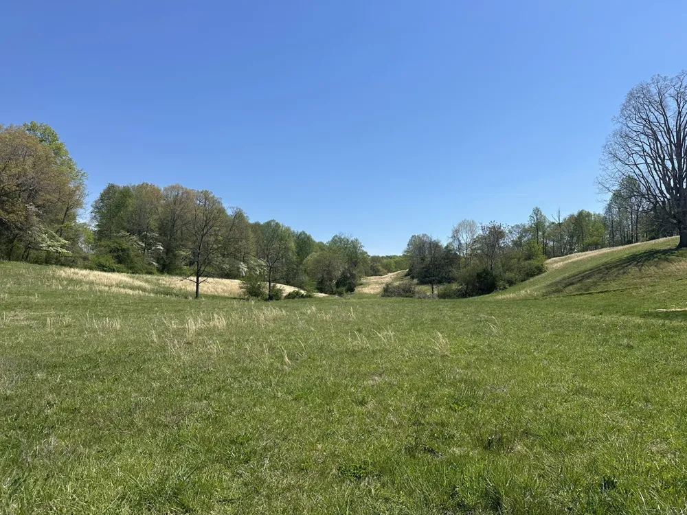 515 Jericho Rd Quebeck, TN 38579