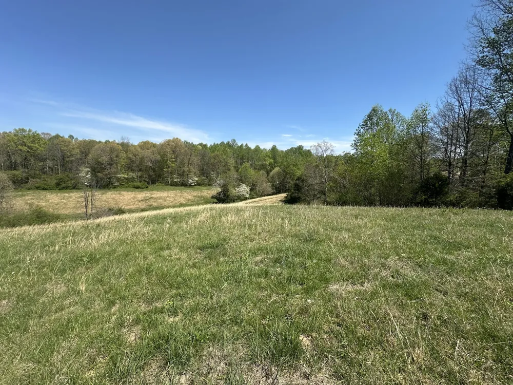 515 Jericho Rd Quebeck, TN 38579