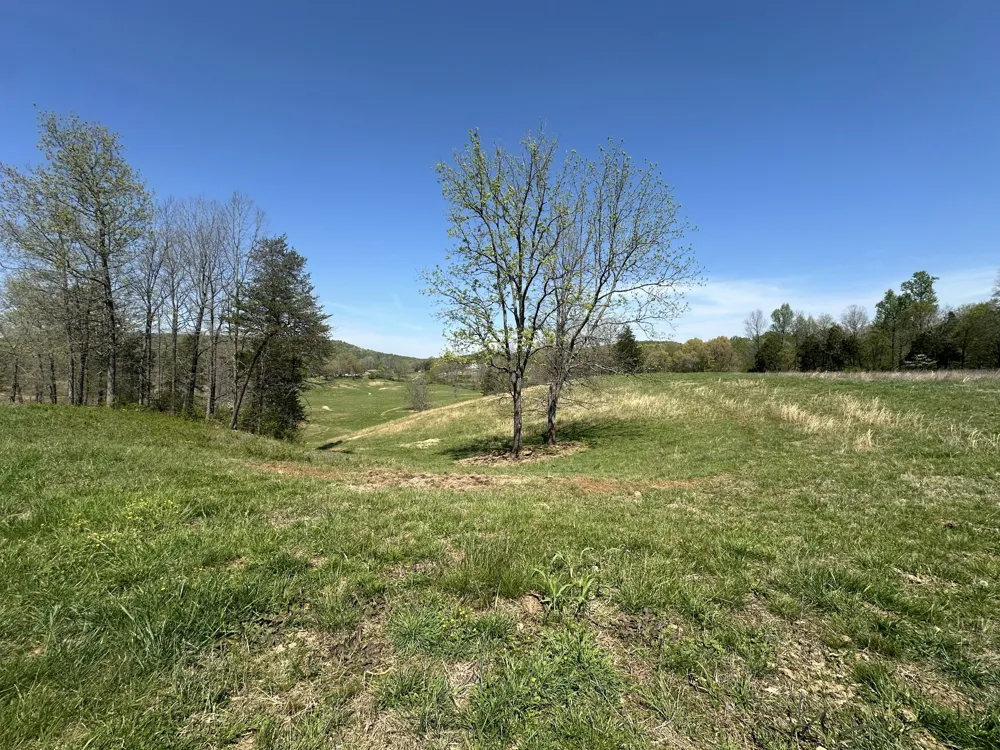 515 Jericho Rd Quebeck, TN 38579