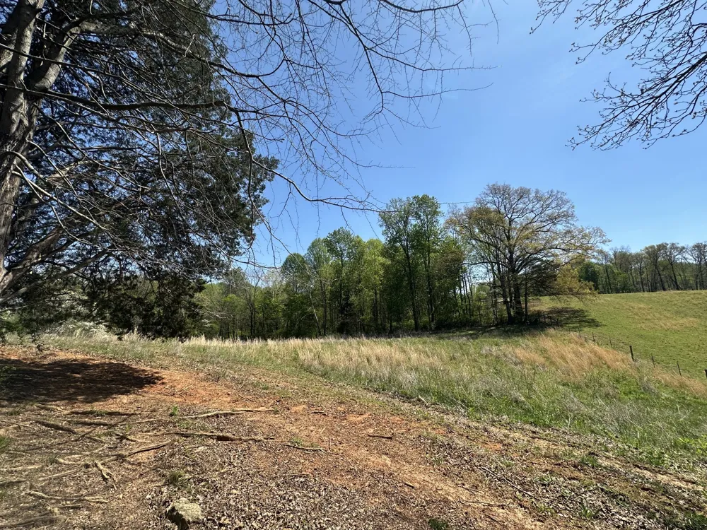 515 Jericho Rd Quebeck, TN 38579