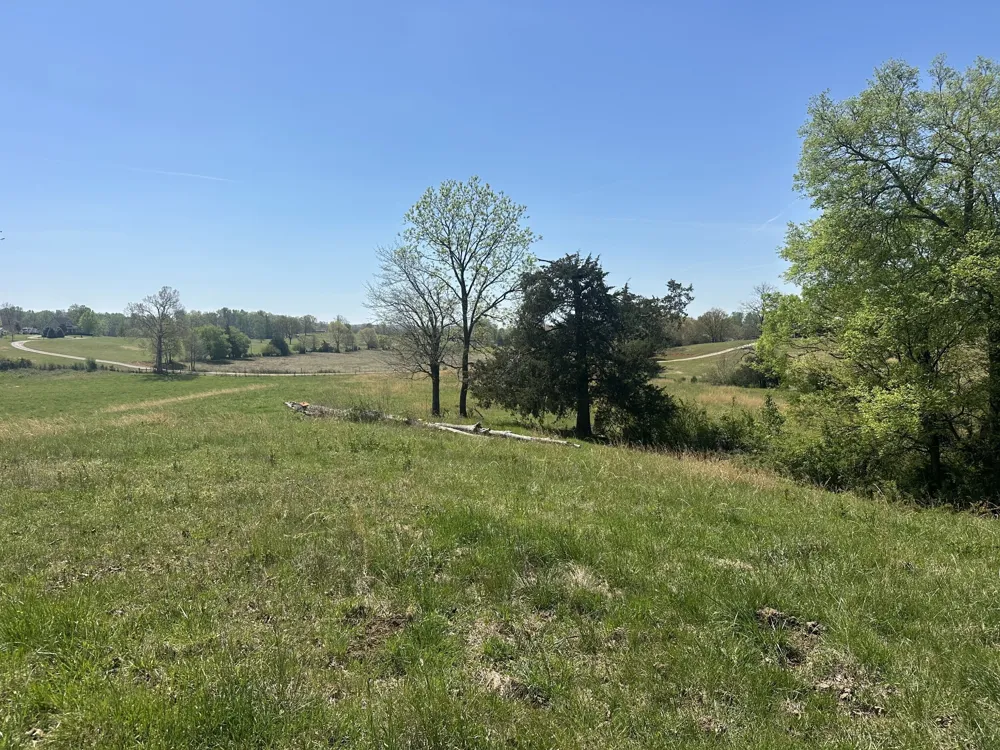 515 Jericho Rd Quebeck, TN 38579