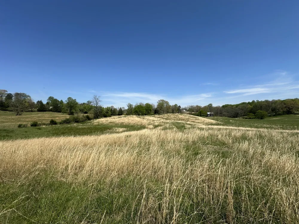 515 Jericho Rd Quebeck, TN 38579