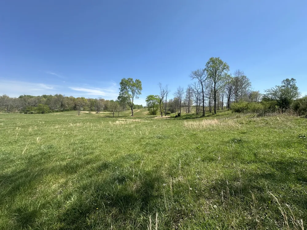 515 Jericho Rd Quebeck, TN 38579