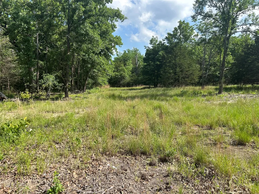 North Shore Road Quinlan, TX 75474