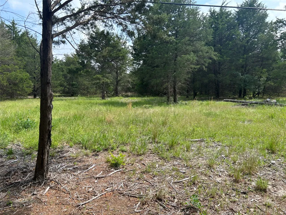 North Shore Road Quinlan, TX 75474