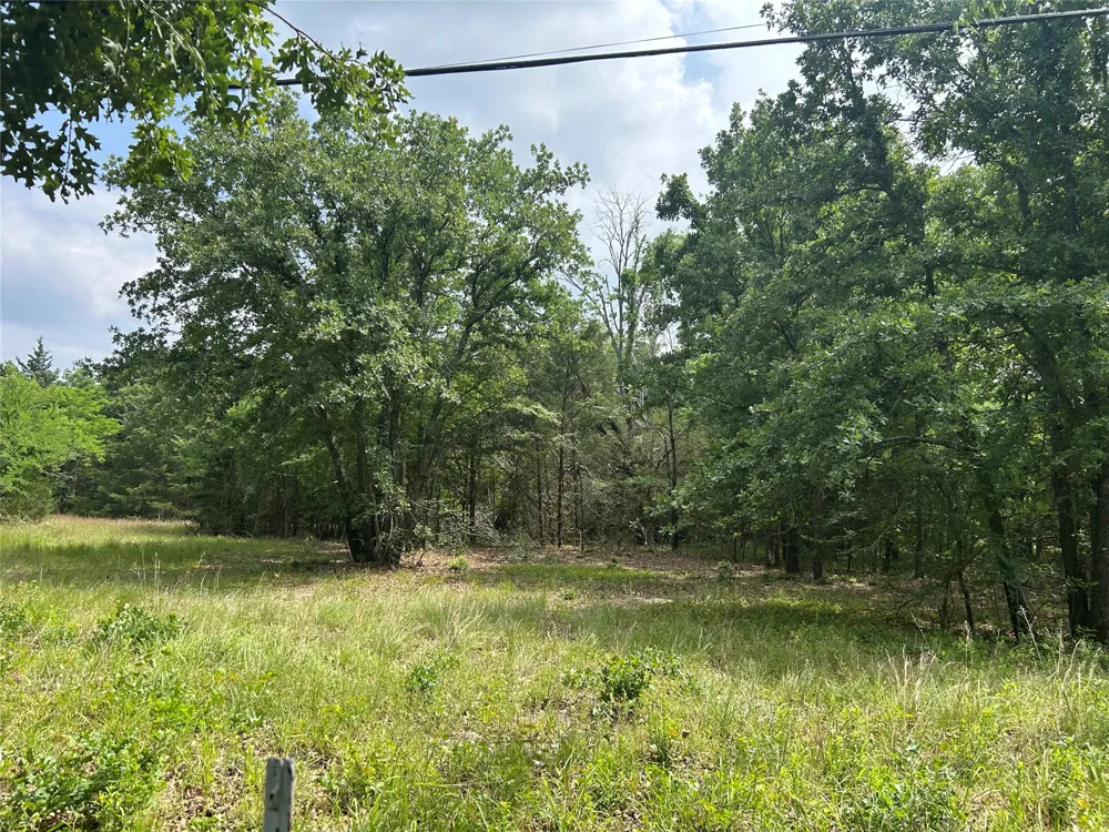 North Shore Road Quinlan, TX 75474