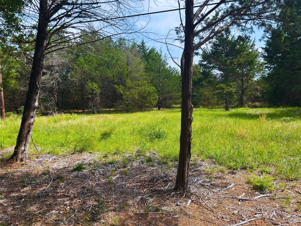 North Shore Road Quinlan, TX 75474