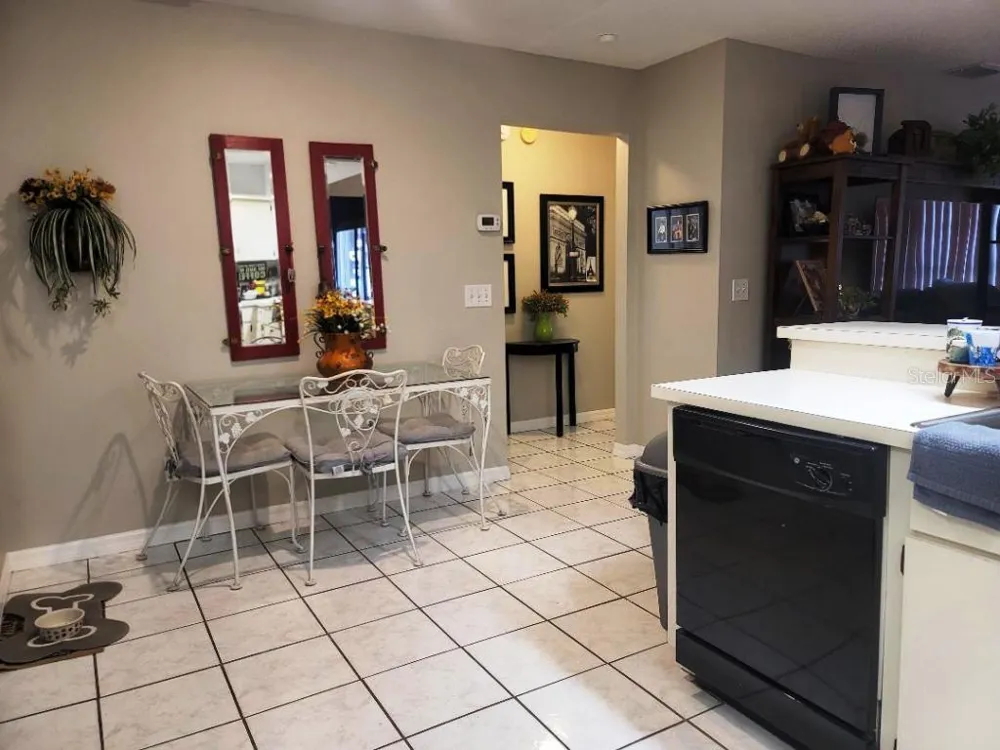 9736 CYPRESS SHADOW AVENUE Tampa, FL 33647