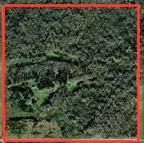 TBD 120th Street Wannaska, MN 56761