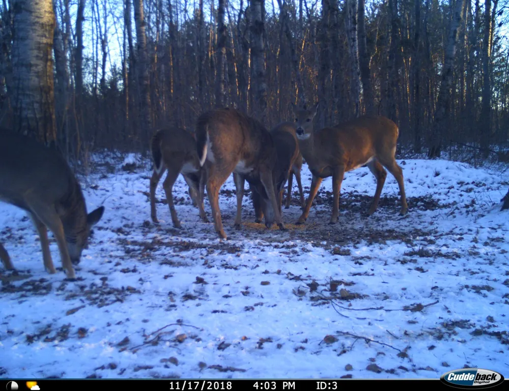 TBD 120th Street Wannaska, MN 56761