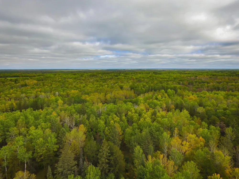 TBD 120th Street Wannaska, MN 56761
