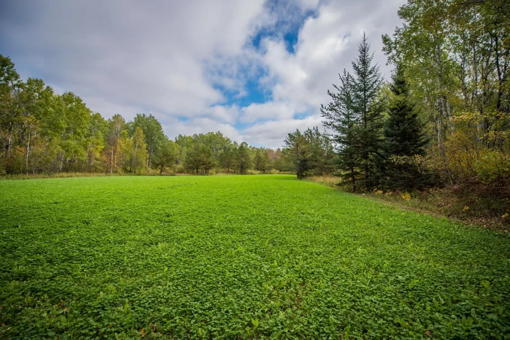TBD 120th Street Wannaska, MN 56761