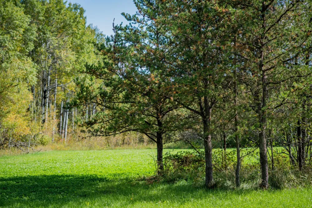 TBD 120th Street Wannaska, MN 56761
