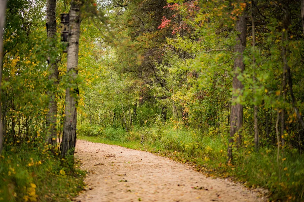 TBD 120th Street Wannaska, MN 56761