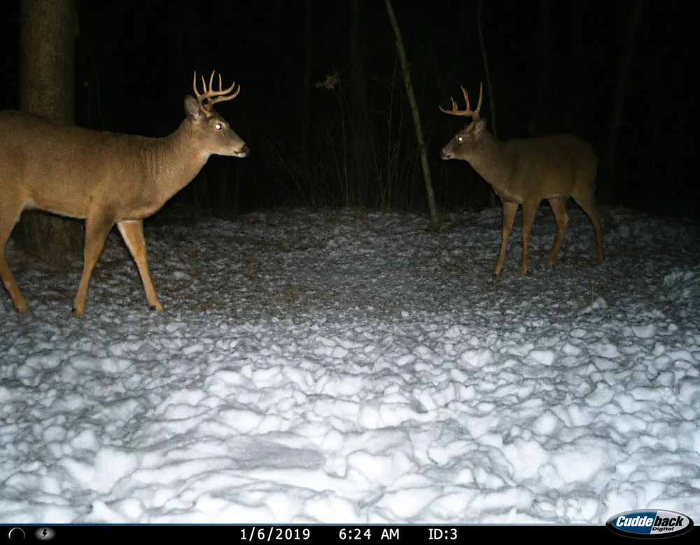TBD 120th Street Wannaska, MN 56761