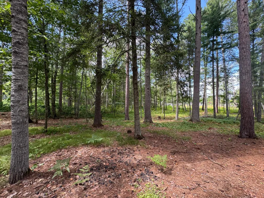 37647 Teal Drive Sturgeon Lake, MN 55783