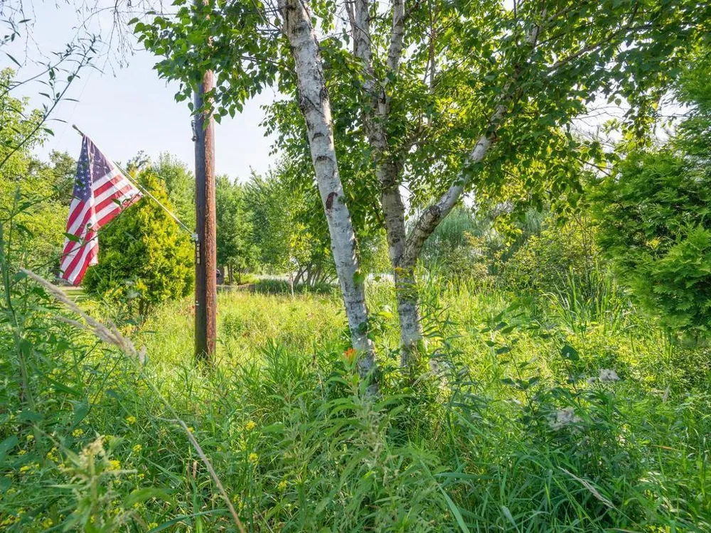 29729 Dahlia Street NW Isanti, MN 55040