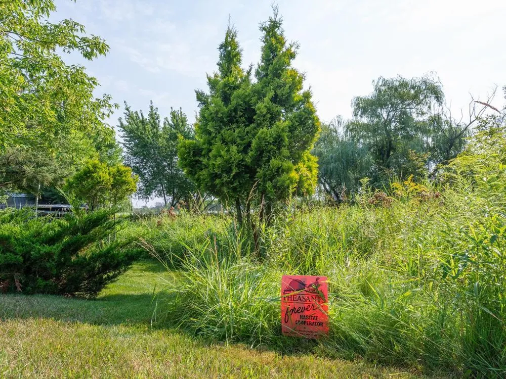 29729 Dahlia Street NW Isanti, MN 55040