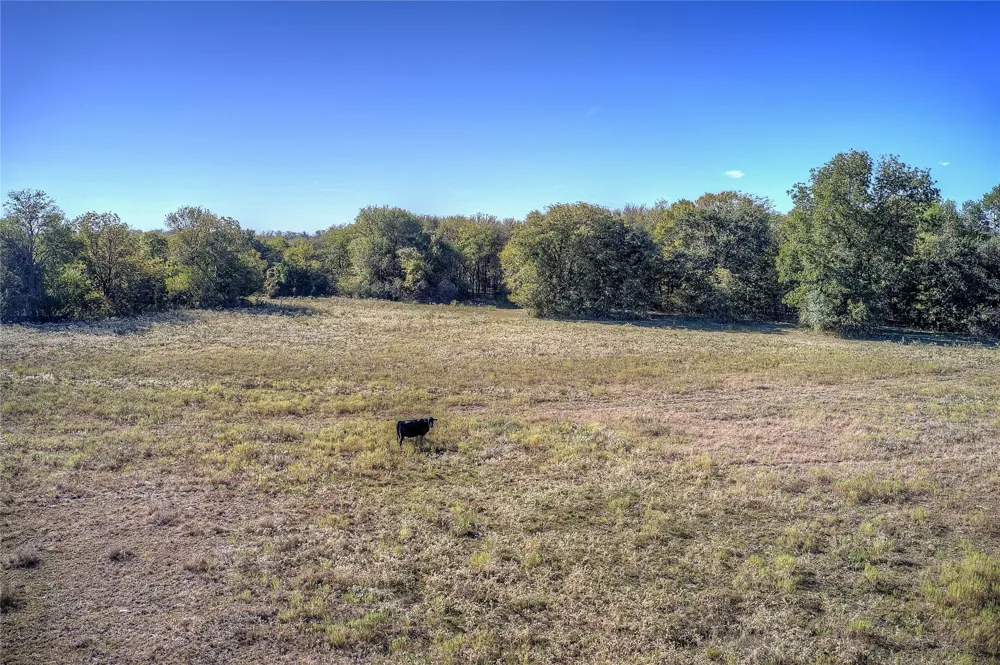 County Road 308 Terrell, TX 75161