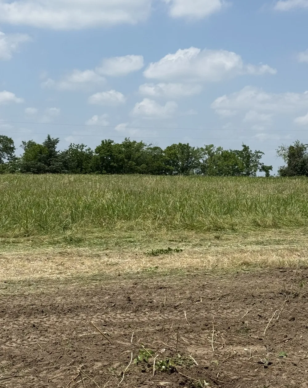 County Road 308 Terrell, TX 75161