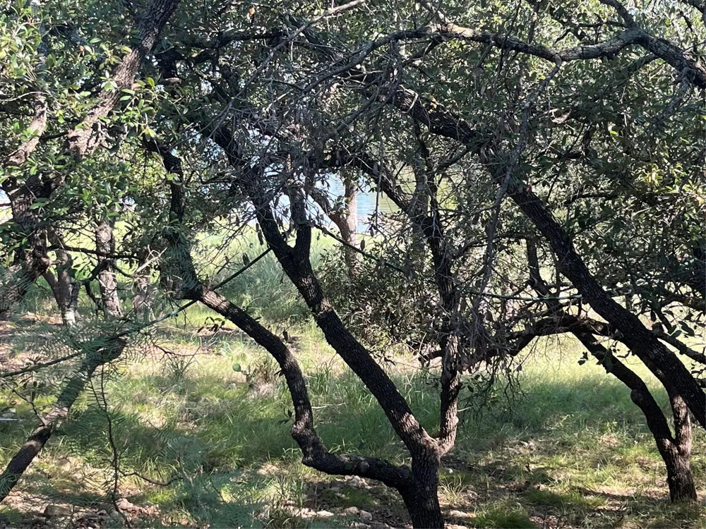 Oak Point Drive May, TX 76857