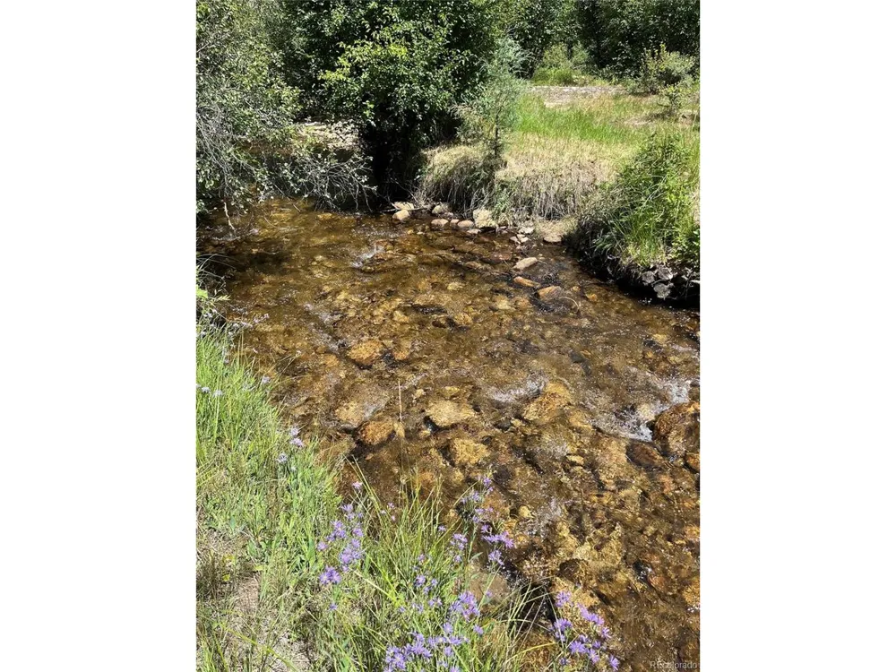 13030 County Road 261d Nathrop, CO 81236