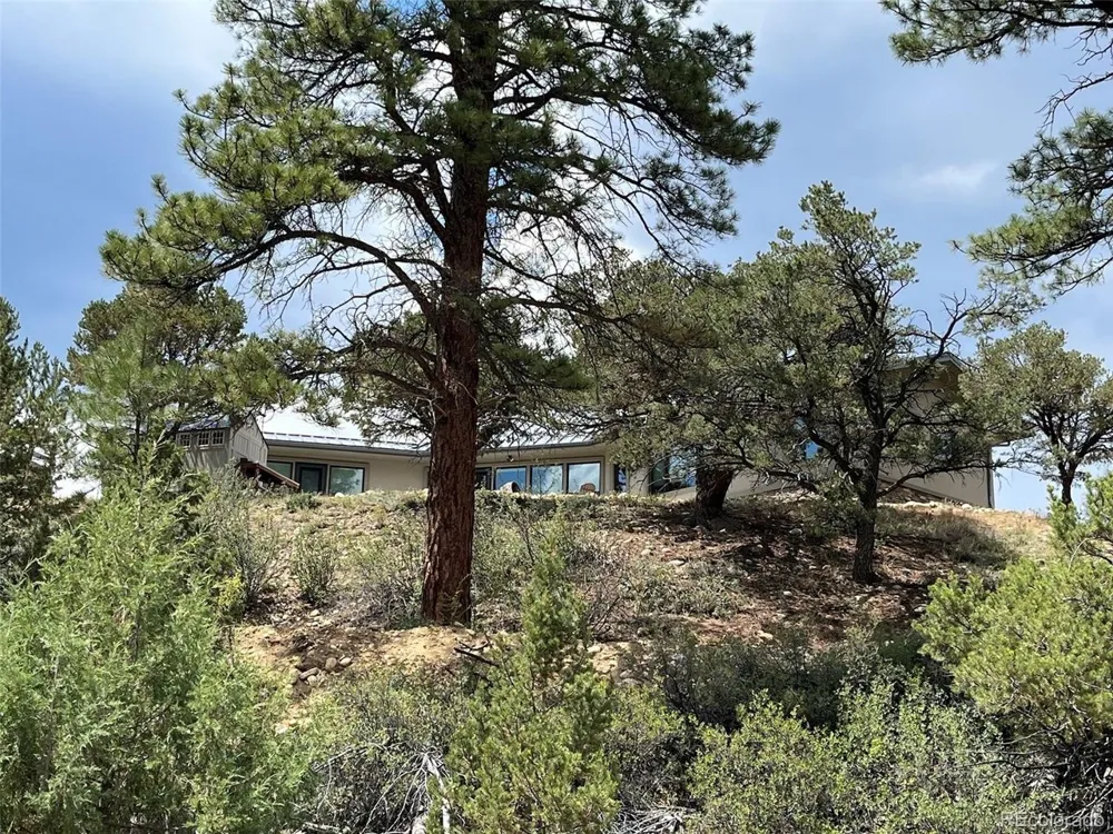 13030 County Road 261d Nathrop, CO 81236