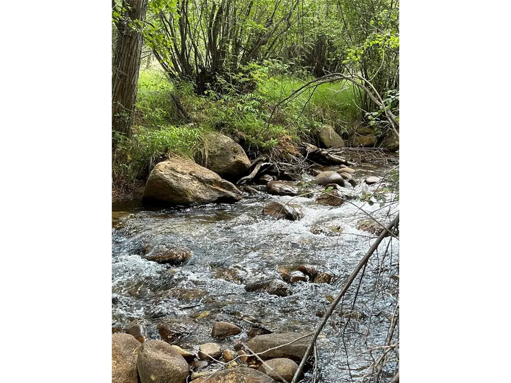13030 County Road 261d Nathrop, CO 81236