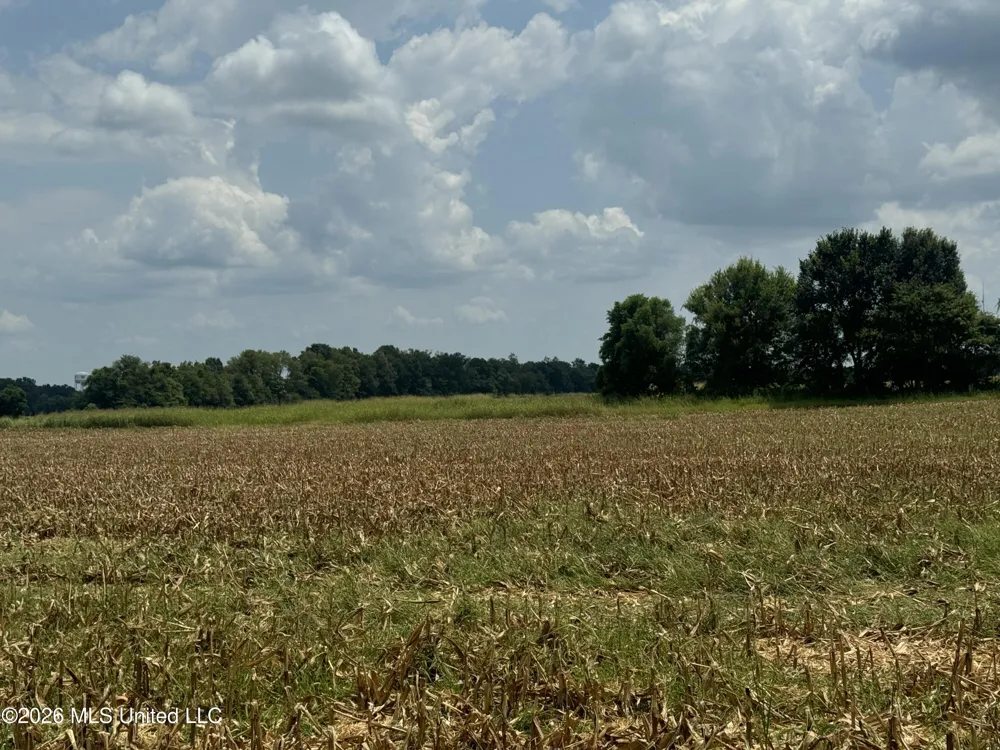 Finney Road Canton, MS 39046