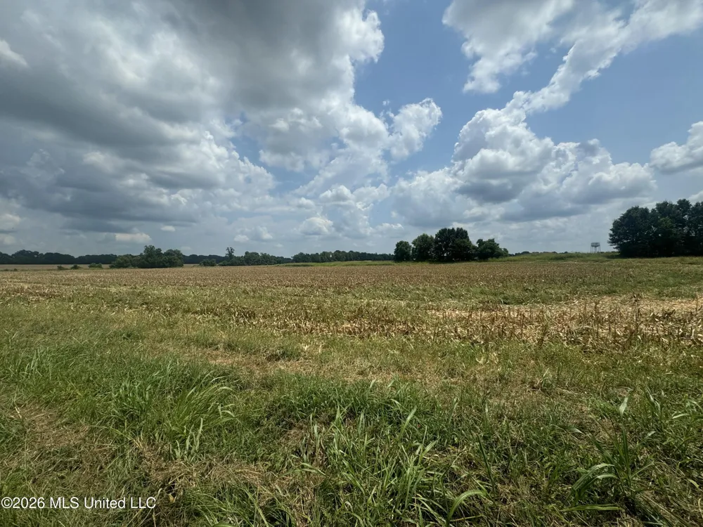 Finney Road Canton, MS 39046
