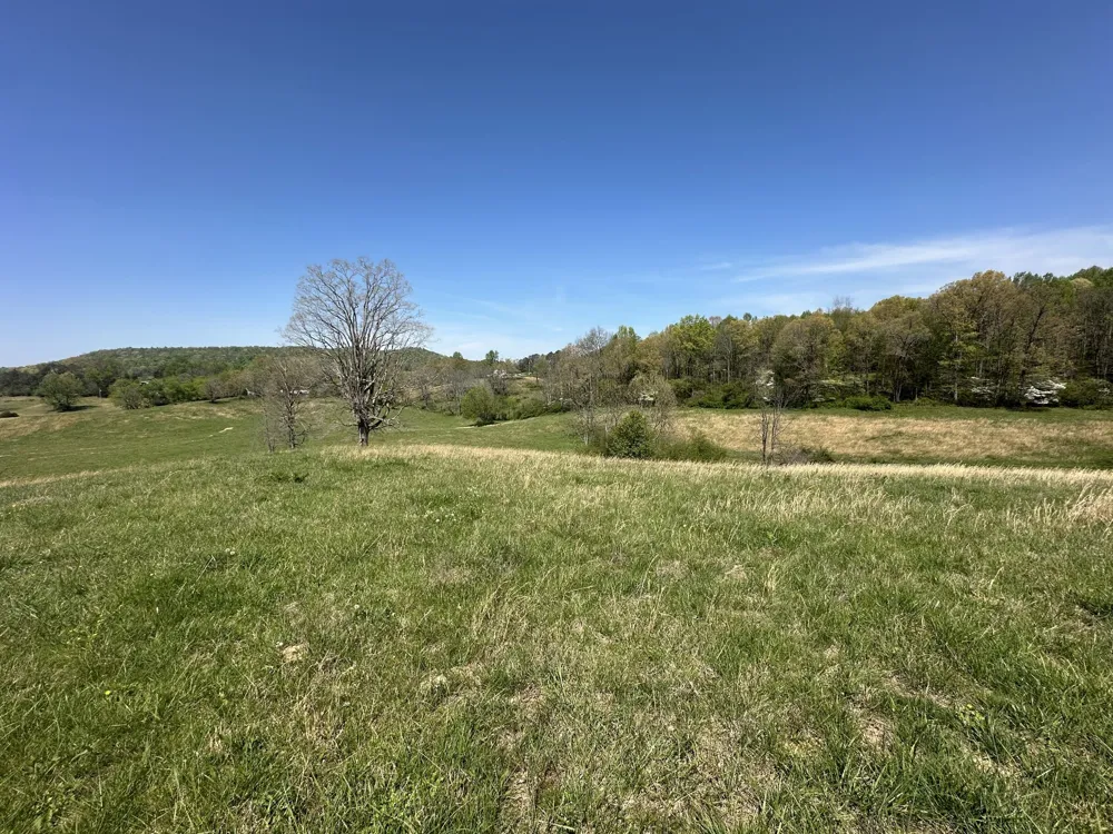 515 Jericho Rd Quebeck, TN 38579