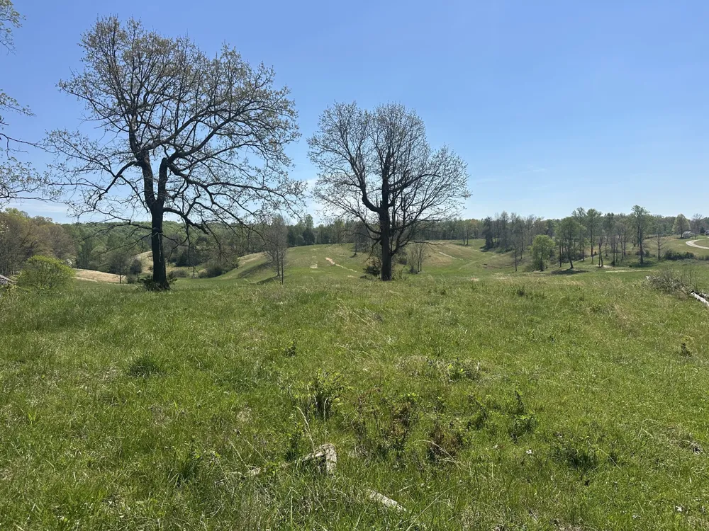 515 Jericho Rd Quebeck, TN 38579