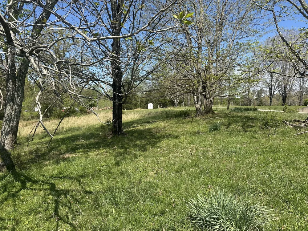 515 Jericho Rd Quebeck, TN 38579