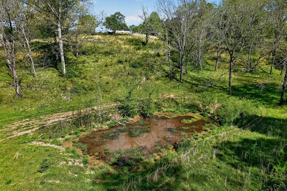 515 Jericho Rd Quebeck, TN 38579