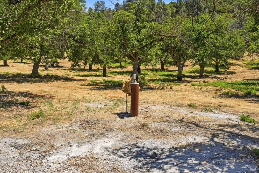 13420 Point Lakeview Road Lower Lake, CA 95457