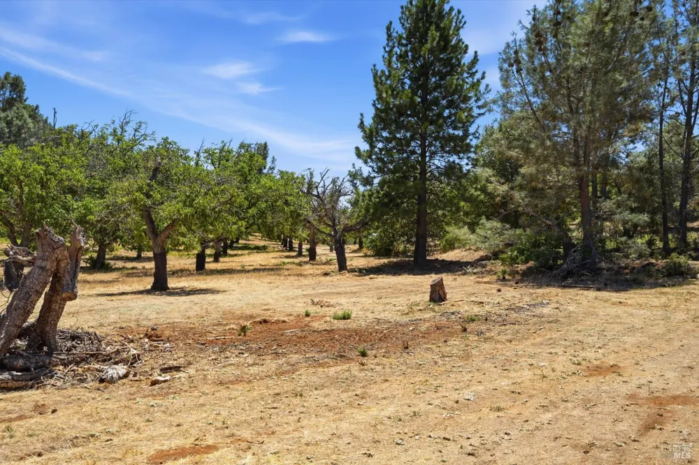 13420 Point Lakeview Road Lower Lake, CA 95457