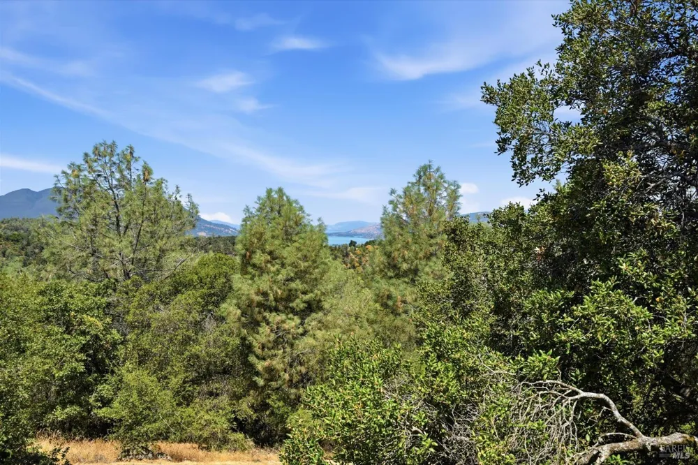 13420 Point Lakeview Road Lower Lake, CA 95457