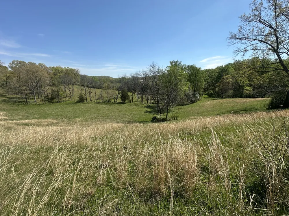 515 Jericho Rd Quebeck, TN 38579
