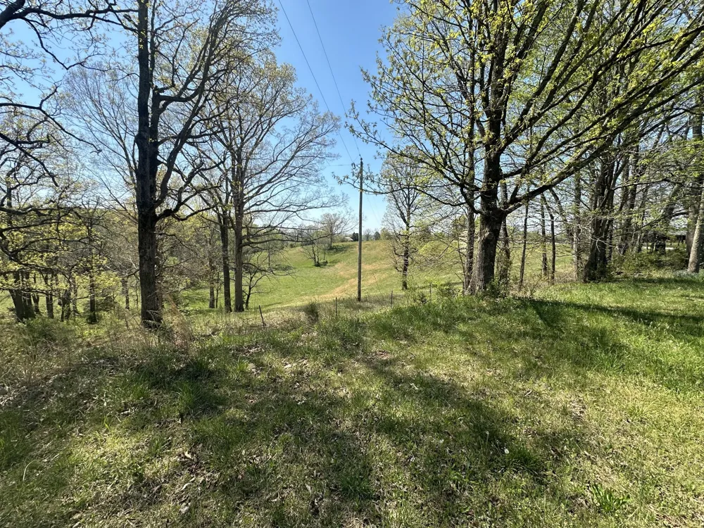 515 Jericho Rd Quebeck, TN 38579