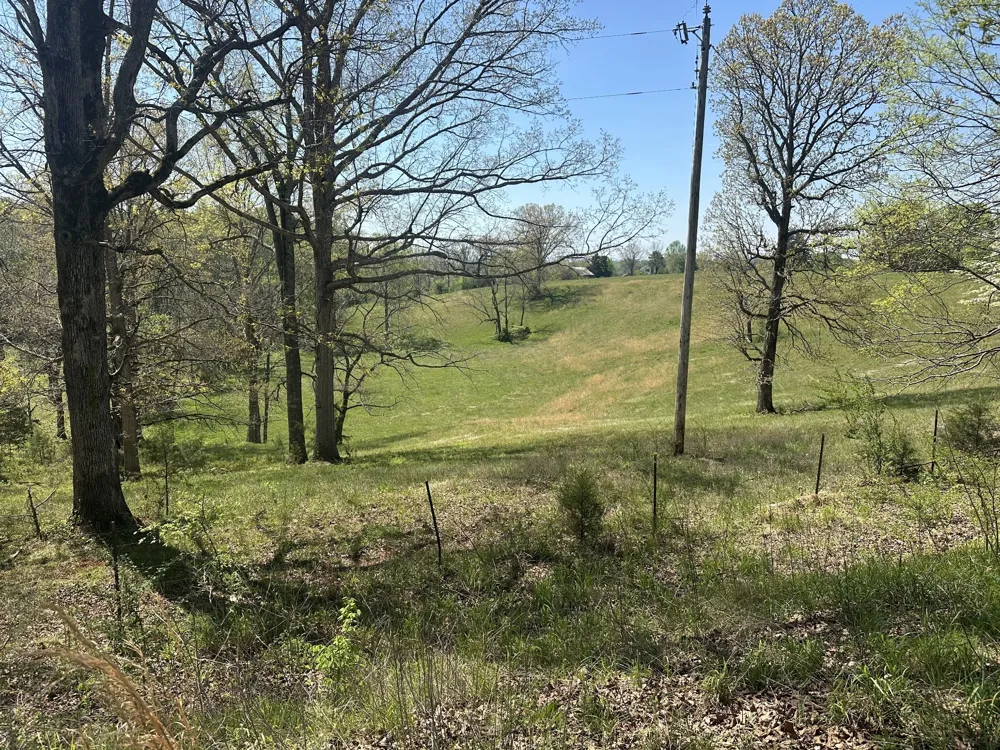 515 Jericho Rd Quebeck, TN 38579