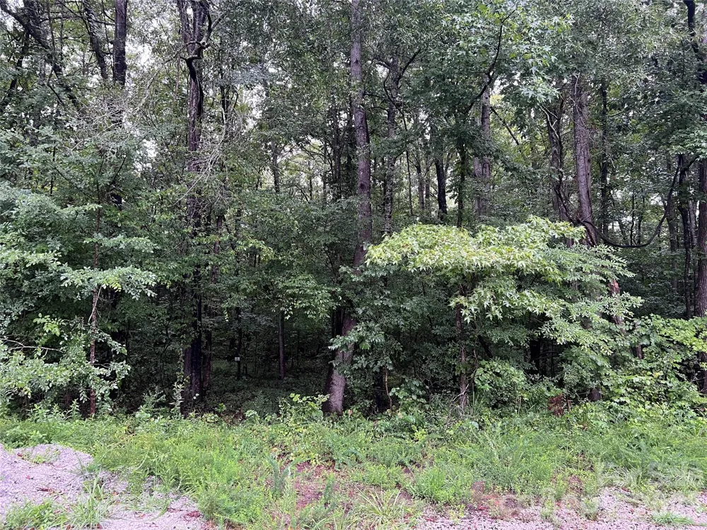 6 Wilderness Lane #14 Lancaster, SC 29720