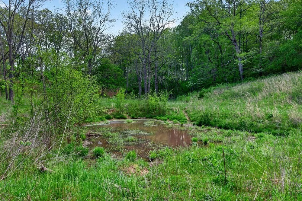 515 Jericho Rd Quebeck, TN 38579