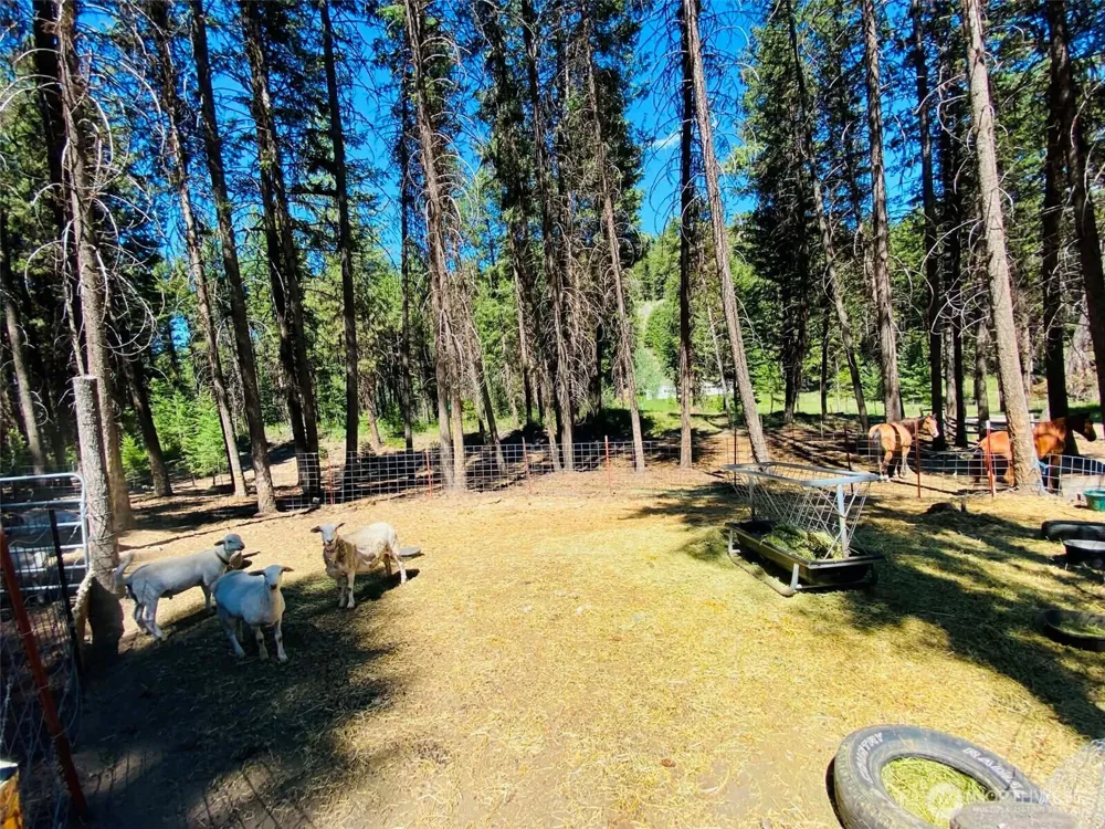 116 Pine Chee Road Oroville, WA 98844