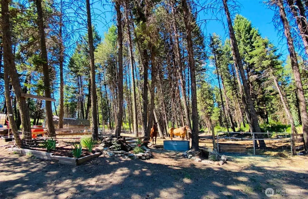 116 Pine Chee Road Oroville, WA 98844